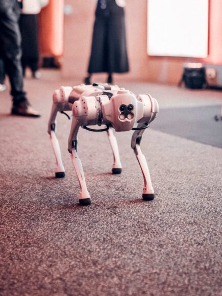 Certified Artificial Intelligence Practitioner (CAIP)